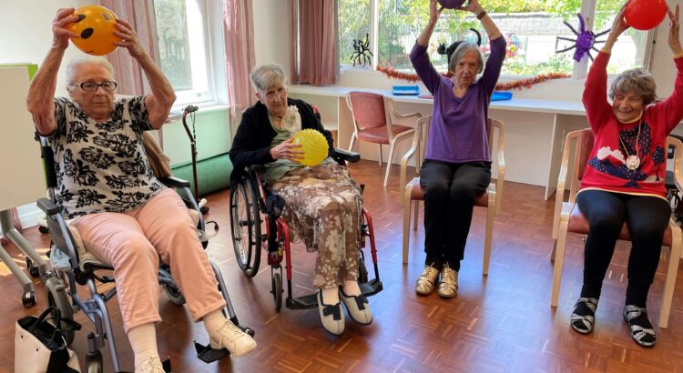 elderly physical therapy rehabilitation